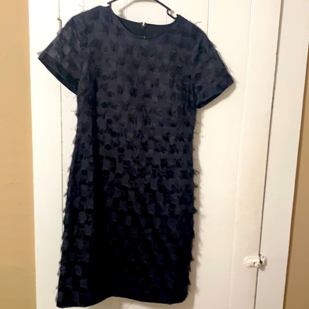 New Black Banana Republic Dress with Frills